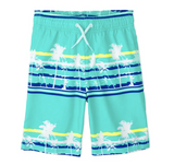 Boys Swim Trunks