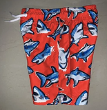 Boys Swim Trunks