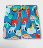 Boys Swim Trunks